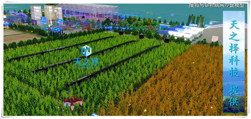 种植农业沙盘 农田大数据模型 展厅农业沙盘模型