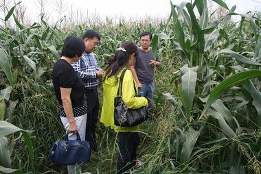 通州农技推广站入基层送技术 推动种植业节水工作发展