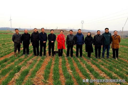 陕西省农业农村厅考察洛阳鑫乐小麦免耕施肥播种技术