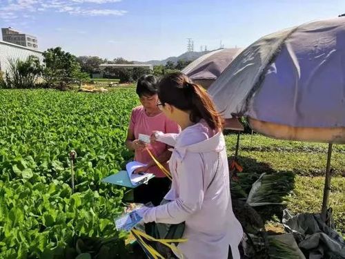 黄江进一步完善全镇农产品追踪溯源体系